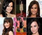 Demi Lovato является актриса и певец американской рок. Известная своей роли Митчи Торрес в кино канала Дисней первоначально, Camp Rock